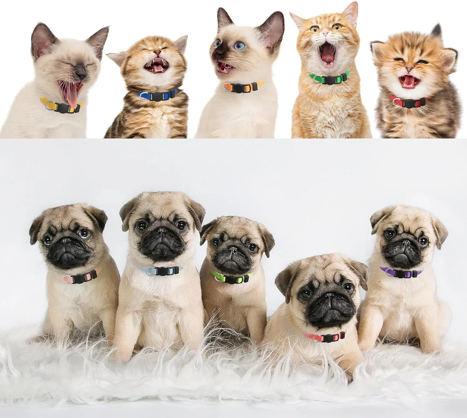 18 Pcs Breakaway Pet Collars,Safety Buckle for Puppy Collars and Kitten Collar,Nylon,Mixed Colors,Adjustable,Ideal for Girl Boy Pet Supplies,Stuff,Accessories(M)