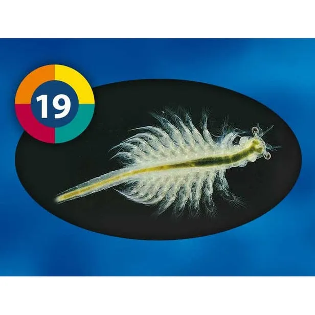 3F- Artemia 100g Blister