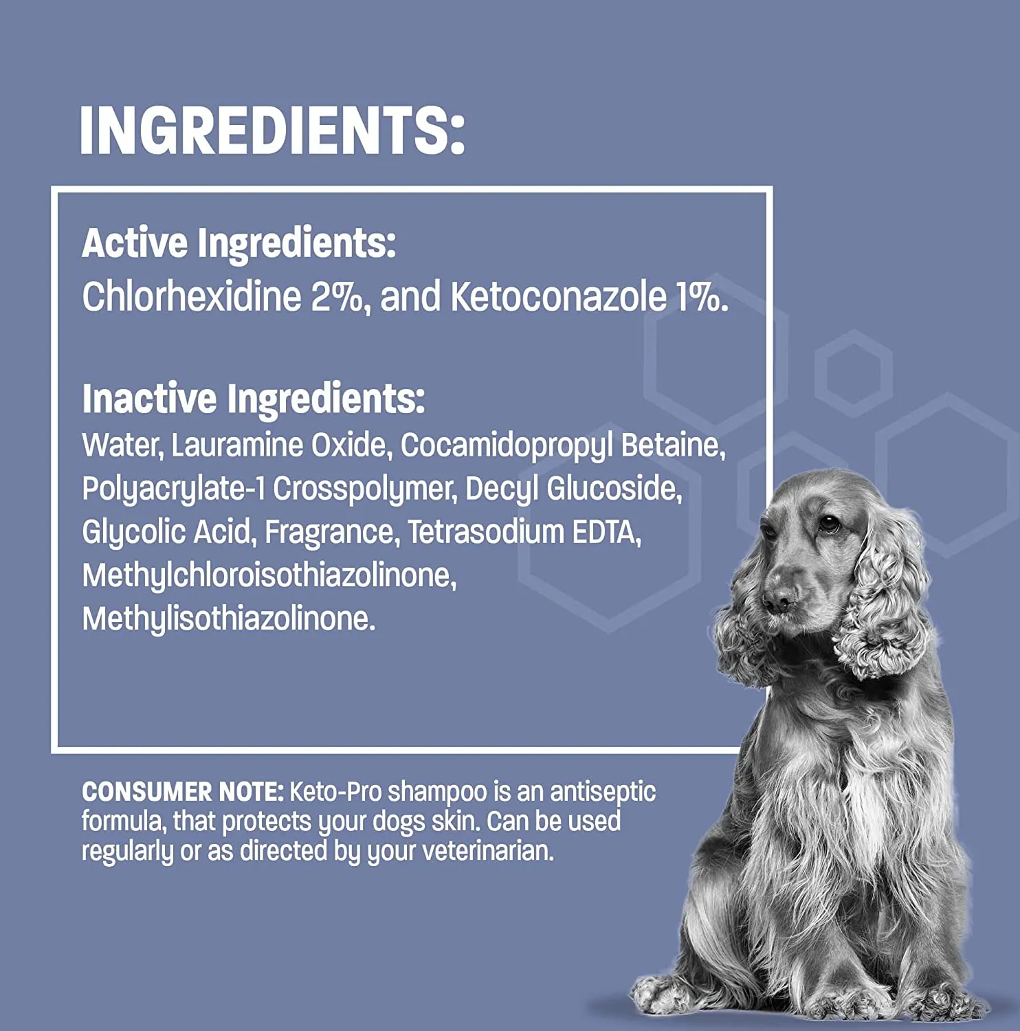 Anti-Fungal Dog Shampoo for Itchy Skin