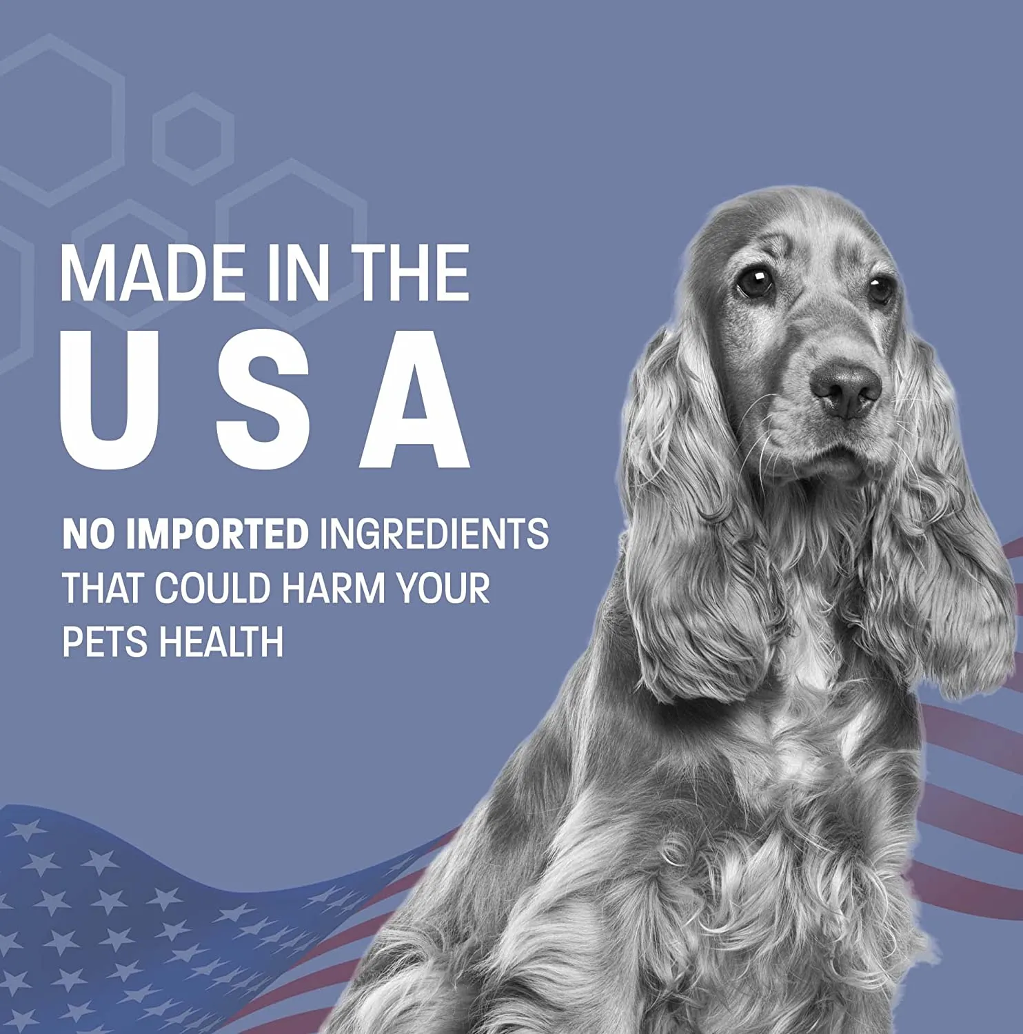 Anti-Fungal Dog Shampoo for Itchy Skin