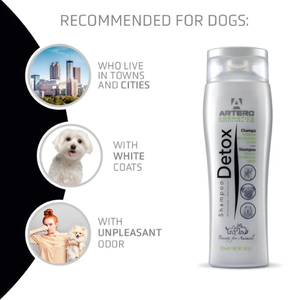 Artero Detox Shampoo