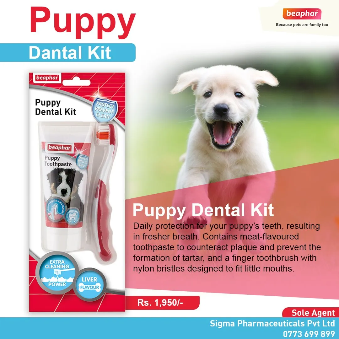Beaphar Puppy Dental Kit (Paste & Brush) 50g