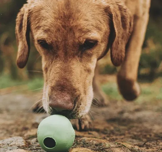 Beco Natural Rubber Ball