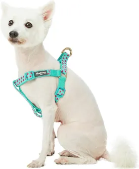 Blueberry Pet Step-in Dog Harness Velvety Heart Flocking Valentines Day Adjustable Harnesses for Medium Dogs, Mint Green, Chest Girth 20" - 26"