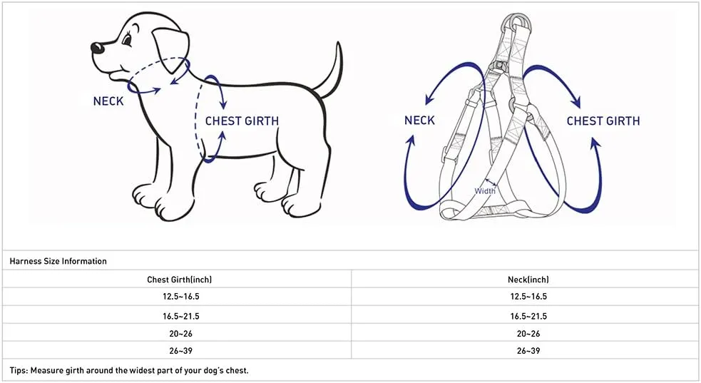 Blueberry Pet Step-in Dog Harness Velvety Heart Flocking Valentines Day Adjustable Harnesses for Medium Dogs, Mint Green, Chest Girth 20" - 26"