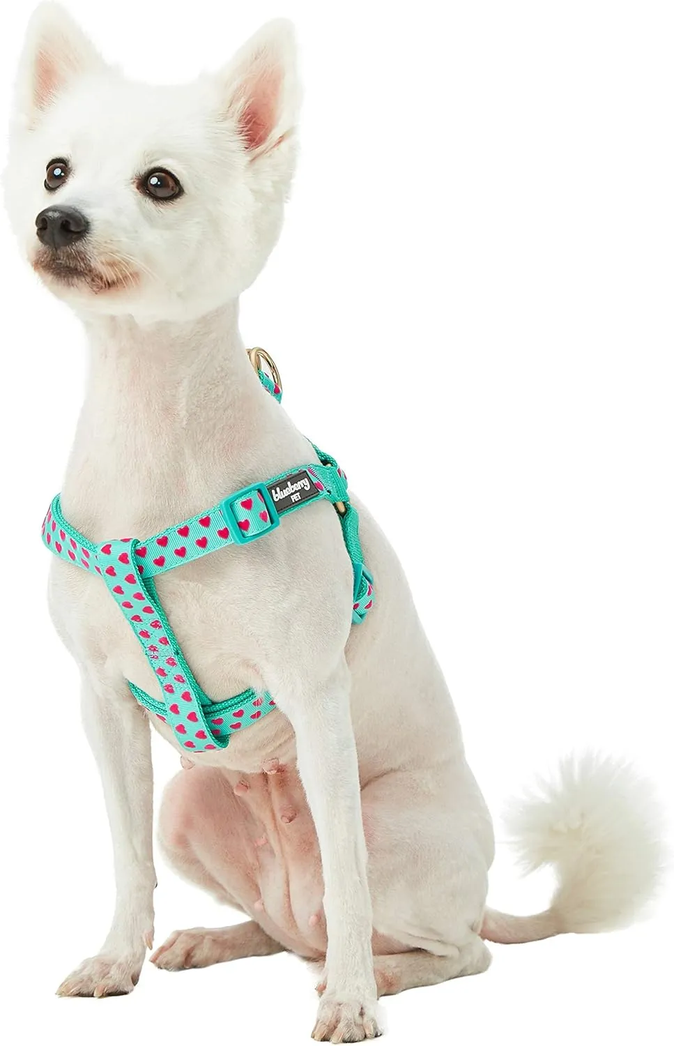 Blueberry Pet Step-in Dog Harness Velvety Heart Flocking Valentines Day Adjustable Harnesses for Medium Dogs, Mint Green, Chest Girth 20" - 26"