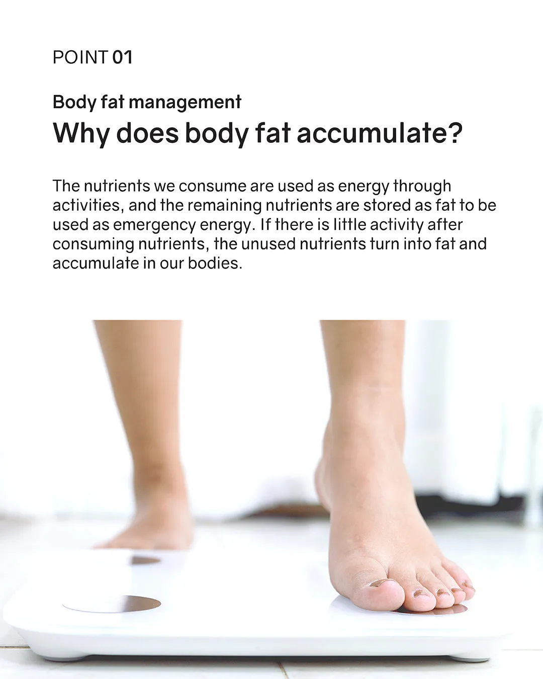 BNRThin  Diet Probiotics