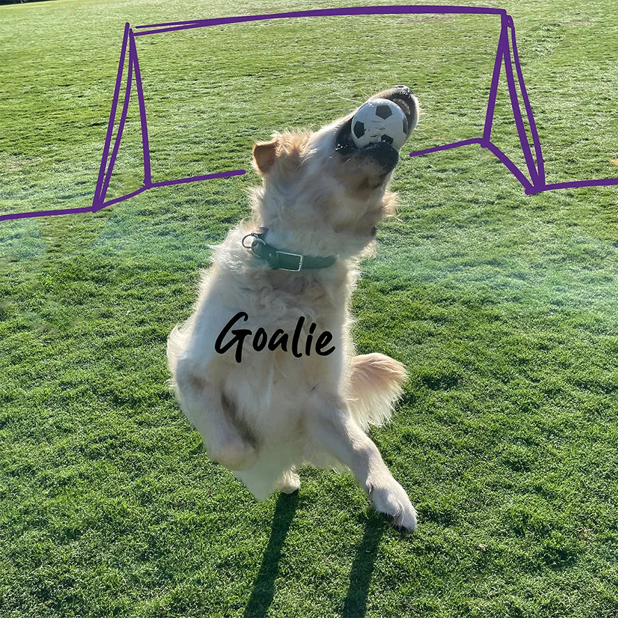 Bouncy Soccer Ball Dog Toy