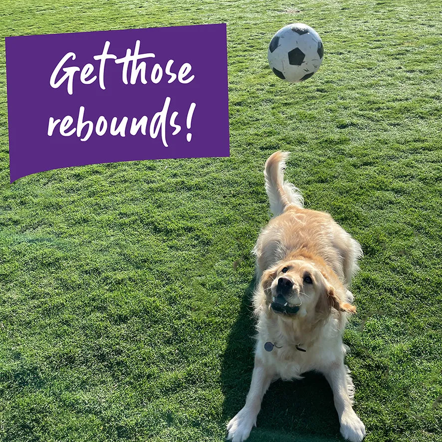 Bouncy Soccer Ball Dog Toy