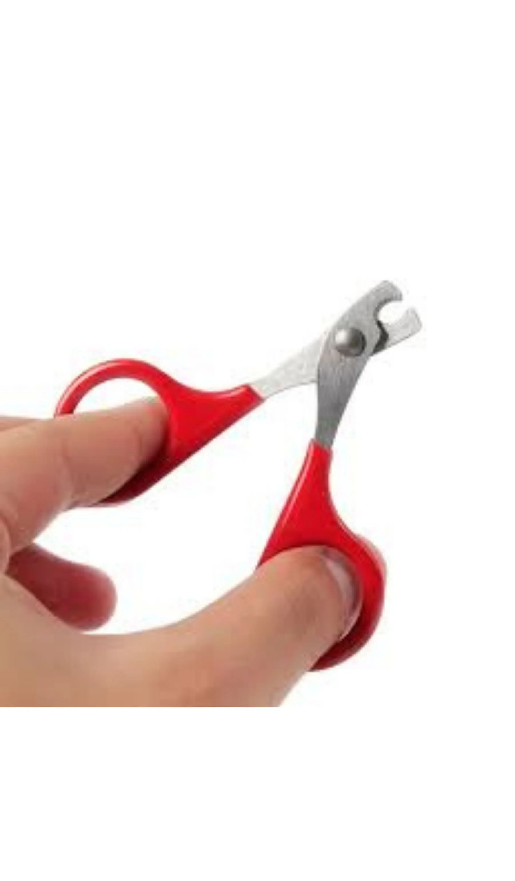 Cat Clippers
