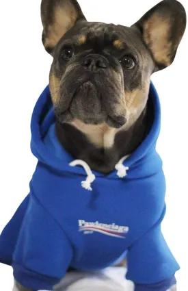 ChoChoCho Stylish Streetwear Blue Dog Sweatshirt Tracksuits, Cats Hoodies, Dog Outfit for Cat Puppy Small Medium (M)