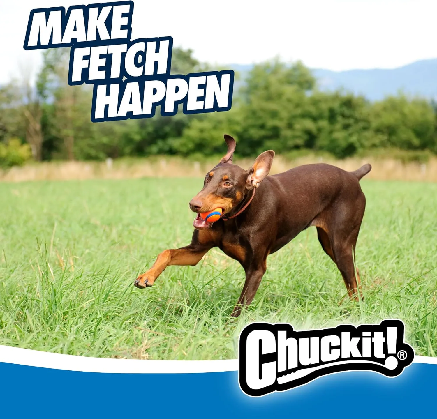 Chuckit! Ultra Ball Dog Toy - Size Large - For Dogs 60-100 lbs - Made from Durable Rubber - Super Bouncy - Floats in Water - 3-inch Diameter - Pack of 1