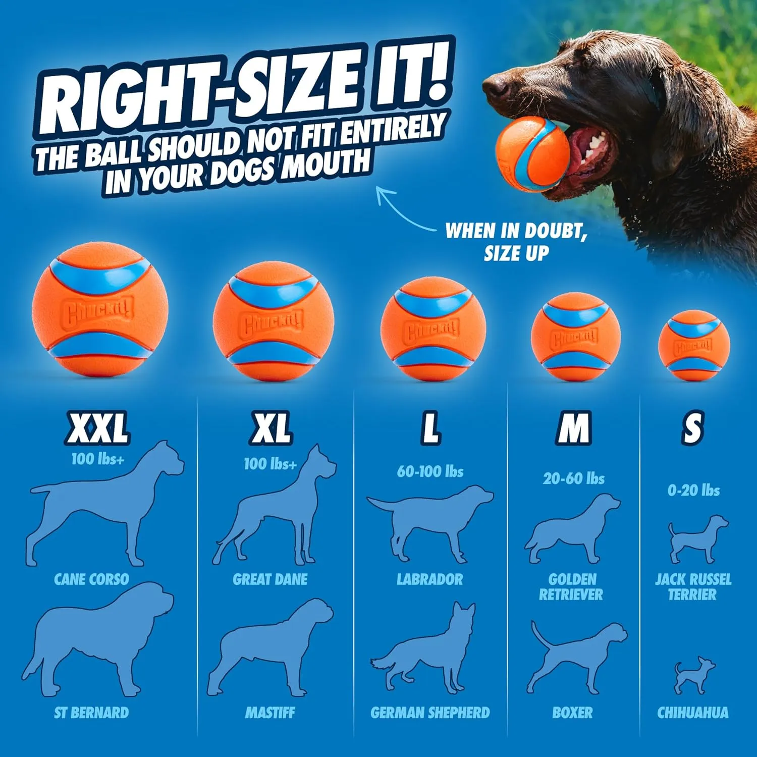 Chuckit! Ultra Ball Dog Toy - Size Large - For Dogs 60-100 lbs - Made from Durable Rubber - Super Bouncy - Floats in Water - 3-inch Diameter - Pack of 1