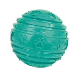 Coastal Lil Pals BioCote Teal Ball