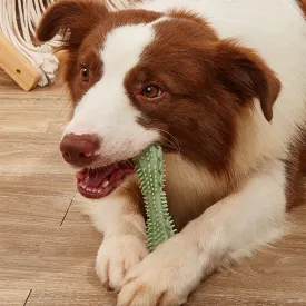 Dog Chewing Toothbrush