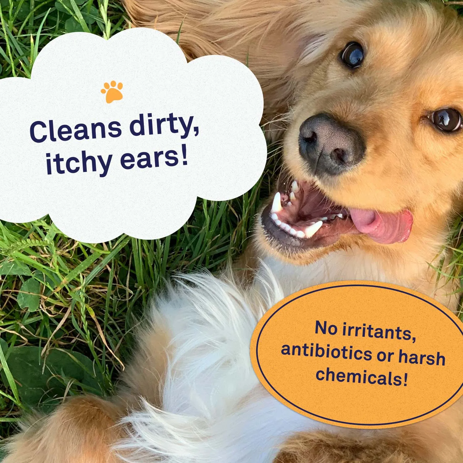 Dog Ear Cleaning Kit