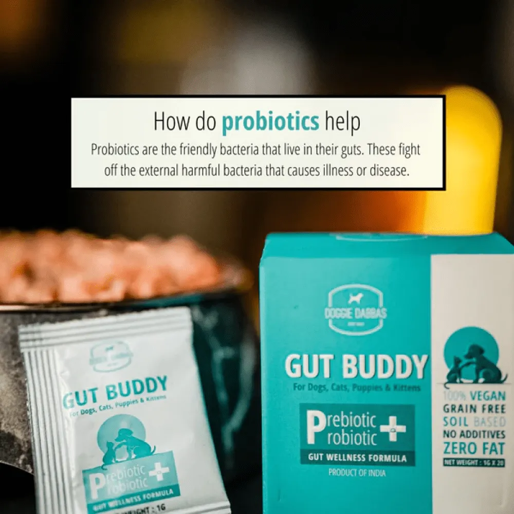 Doggie Dabbas Gut Buddy for Dogs and Cats