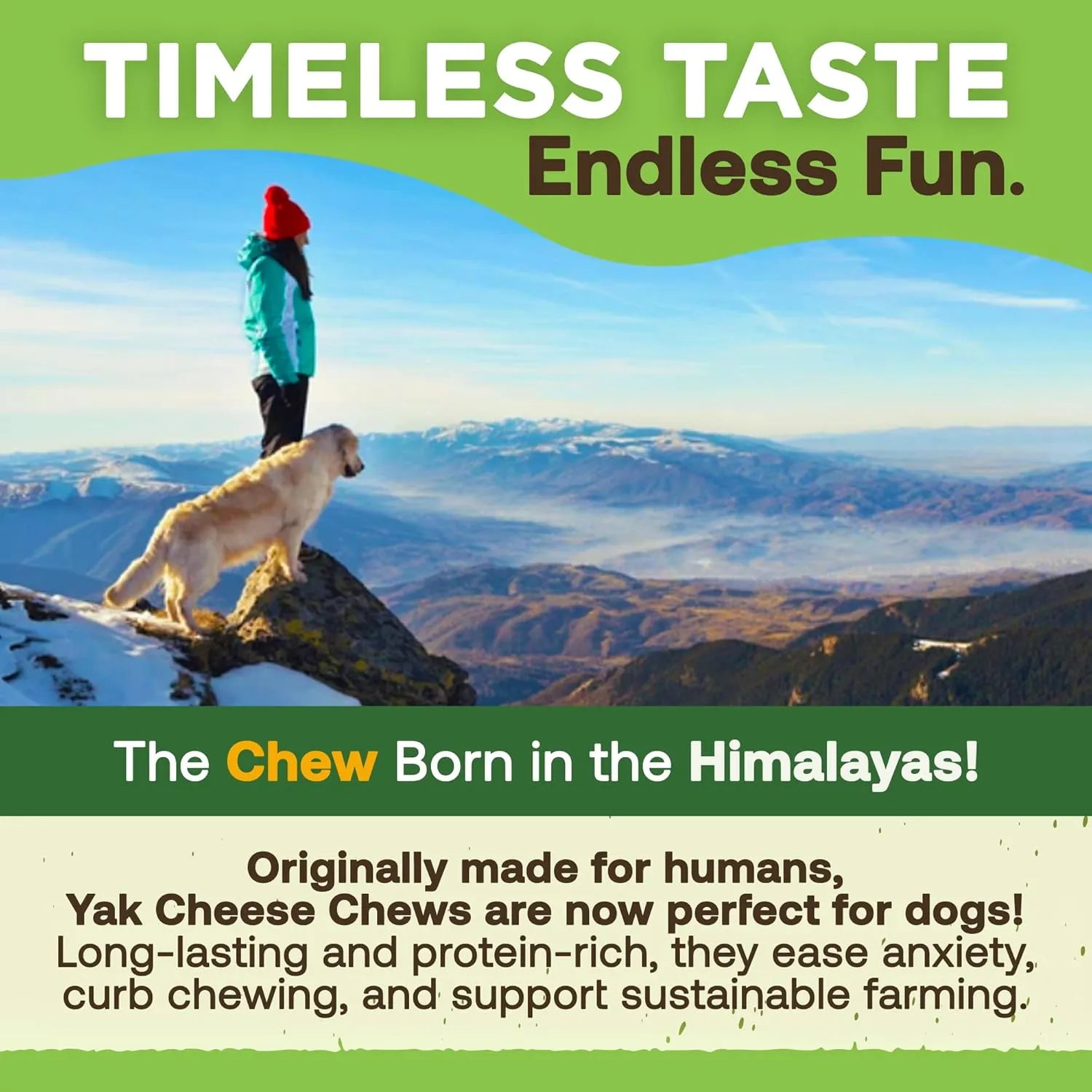EcoKind Premium Gold Yak Cheese Himalayan Dog Chews, Dog Treats Large Breed, All Natural, High Protein, for Aggressive Chewers, Large - 4 Chews (1 lb)