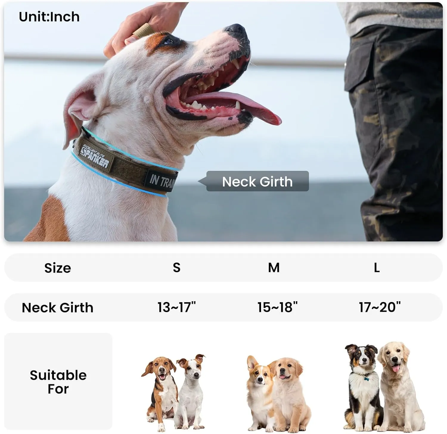 EXCELLENT ELITE SPANKER Tactical Small Puppy Dog Collar Nylon Adjustable Heavy Duty Military for Small Medium and Large Dogs Pet Soft Padded Dog Collar(RGN-L)