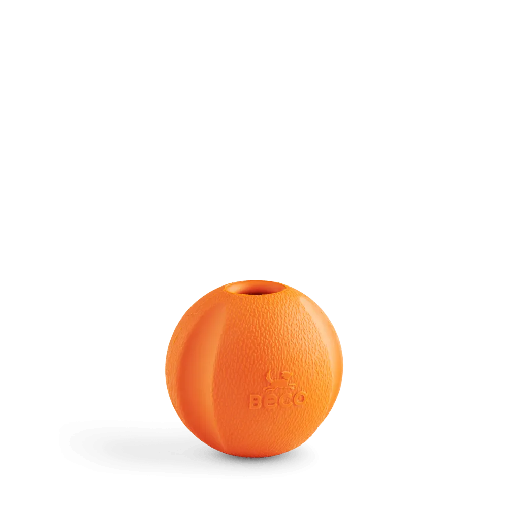 Fetch Ball
