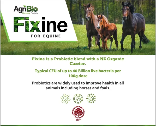 Fixine for Equine 5kg