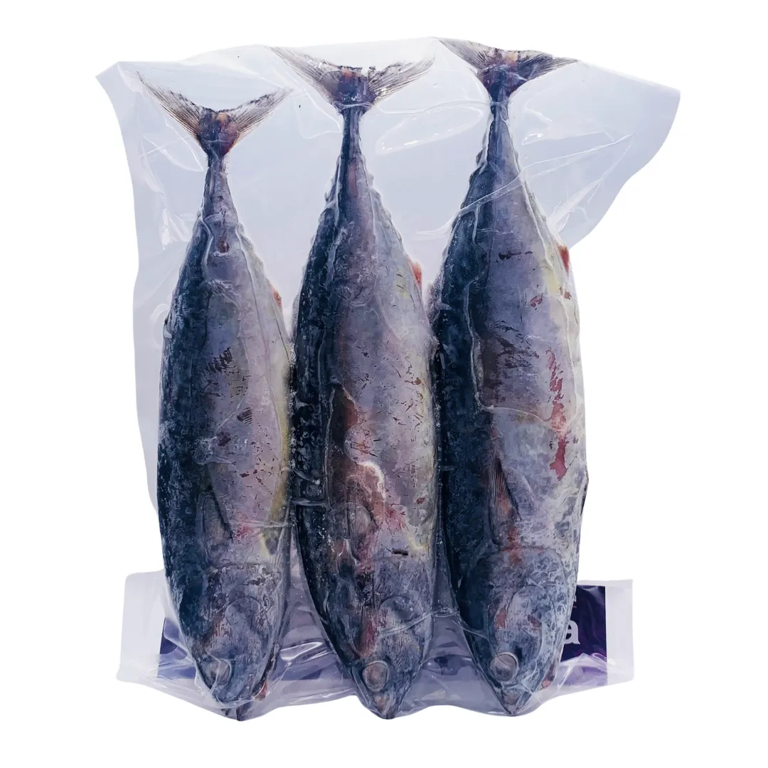Frozen Bullet Tuna (Tulingan) 900g by Asean Seas