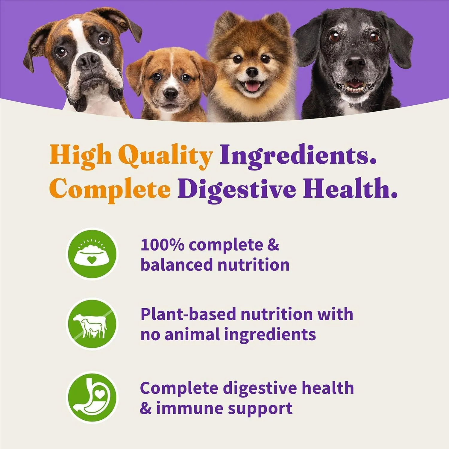 Halo Holistic Adult Dog Vegan Plant-Based Recipe with Superfoods 3.5 lb Bag