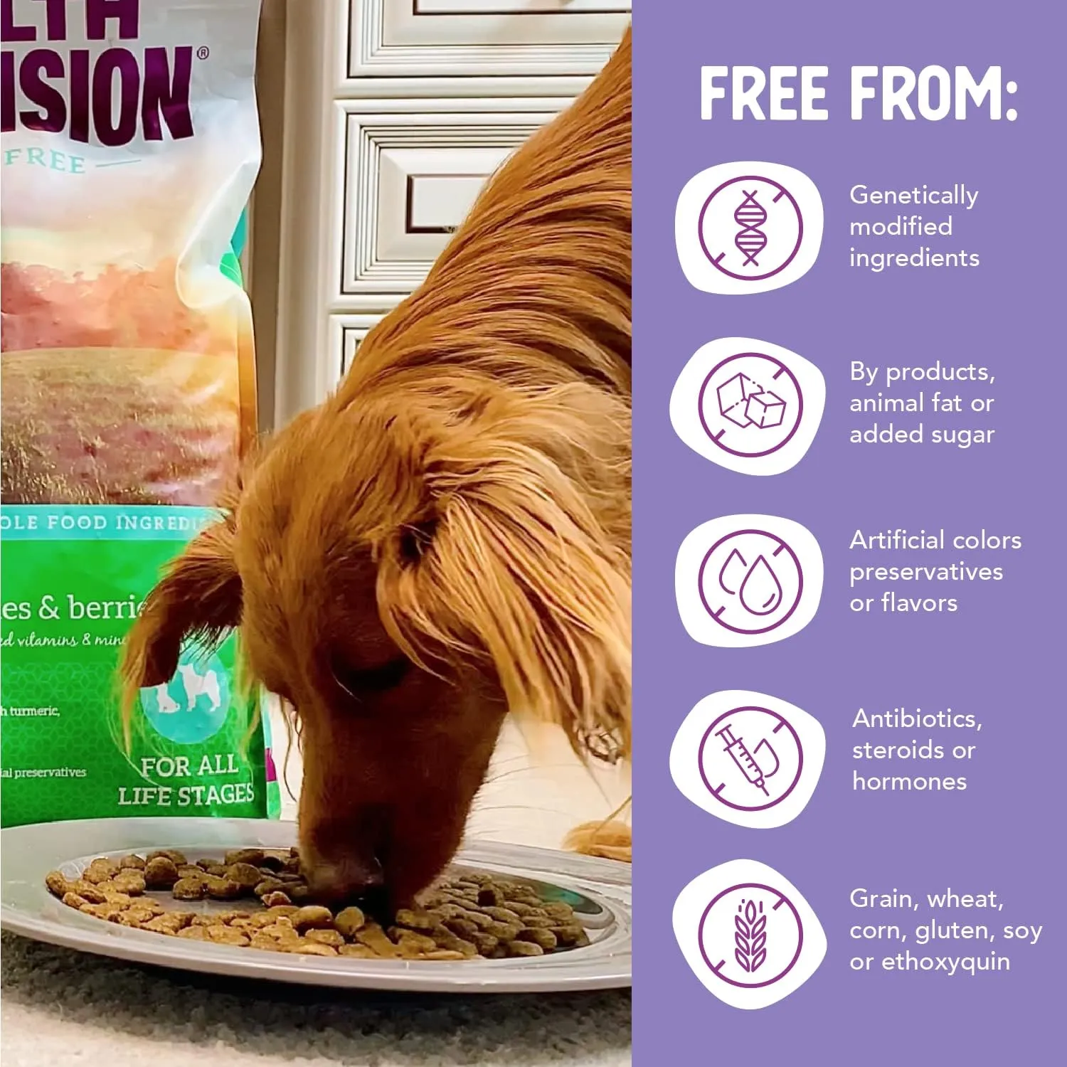 Health Extension Grain Free Duck & Sweet Potato Dry Dog Food (23.5 lb / 10.66 kg) - Lean Protein Formula with Turmeric & Antioxidants for Healthy Skin & Digestion
