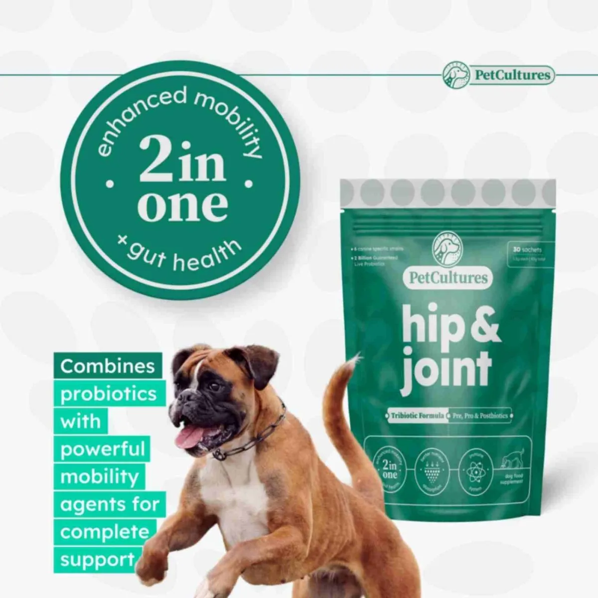 Hip & Joint Formula with Glucosamine and Probiotics | Pro Formula