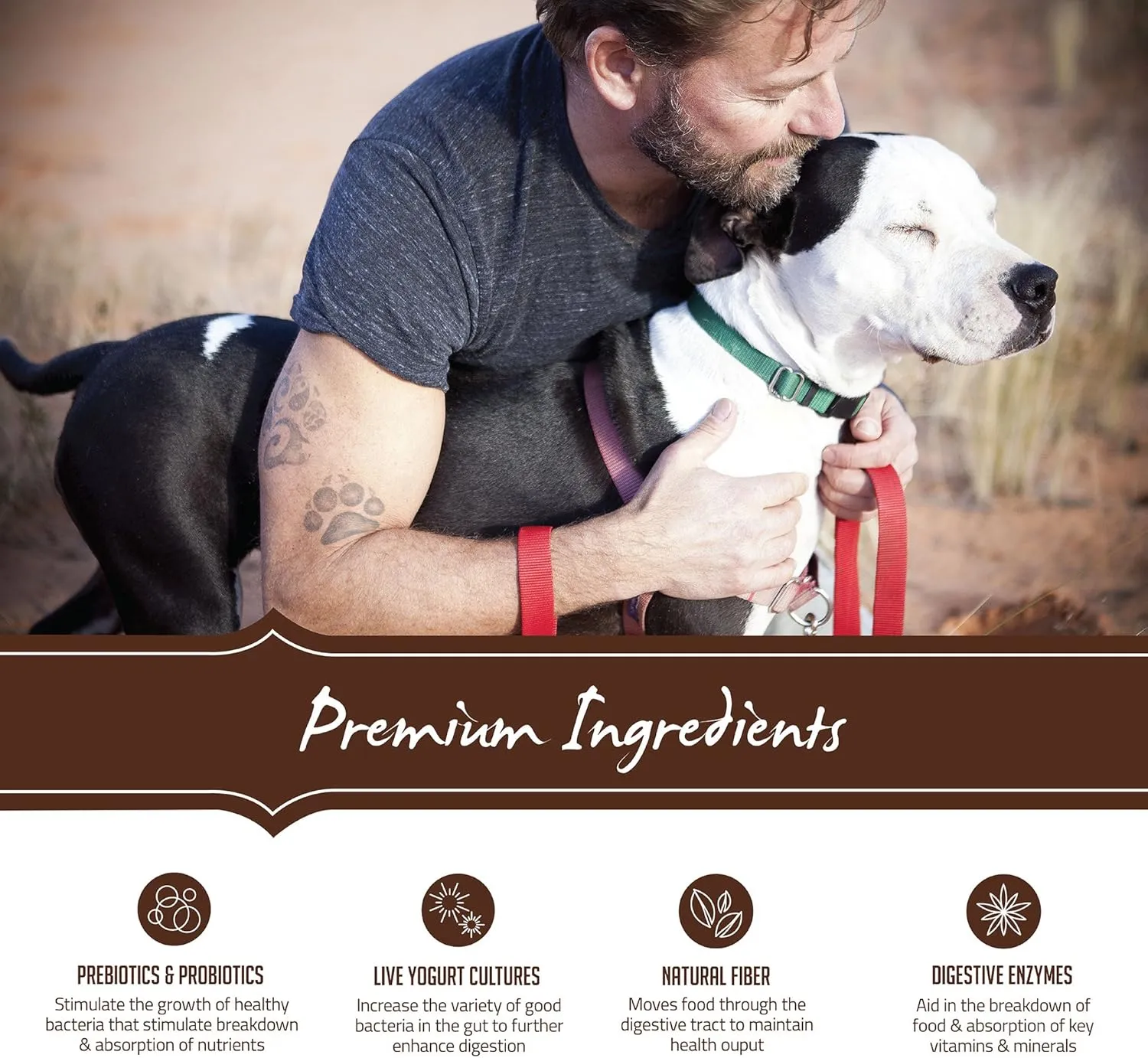 Holistic Select Natural Dry Dog Food, Lamb Meal Recipe, 30-Pound Bag