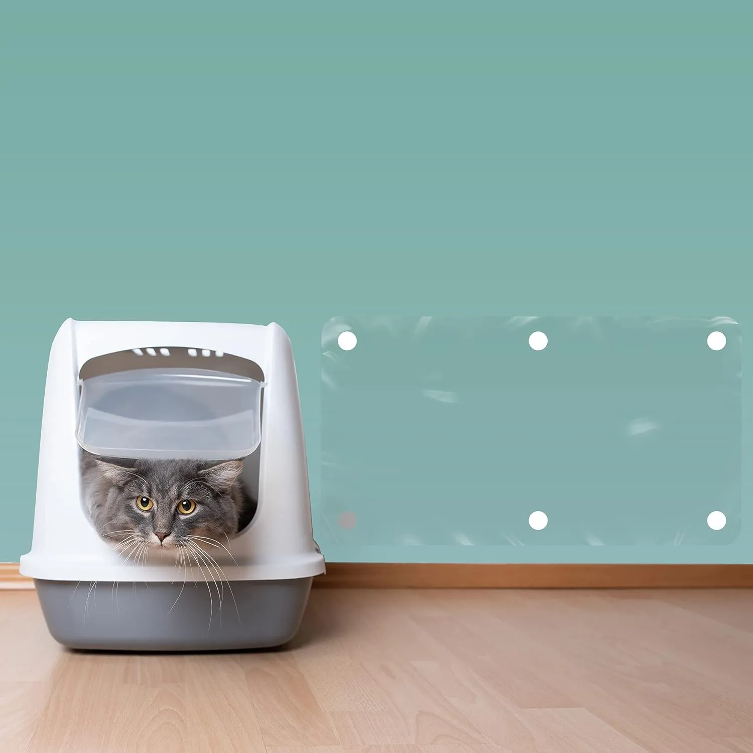 LAMINET The Original Deluxe Cat Wall Scratch Shield - Protect Your Walls with Our Deluxe Heavy-Duty Flexible Cat Scratch Shield - (32L x 16W - INCHES)