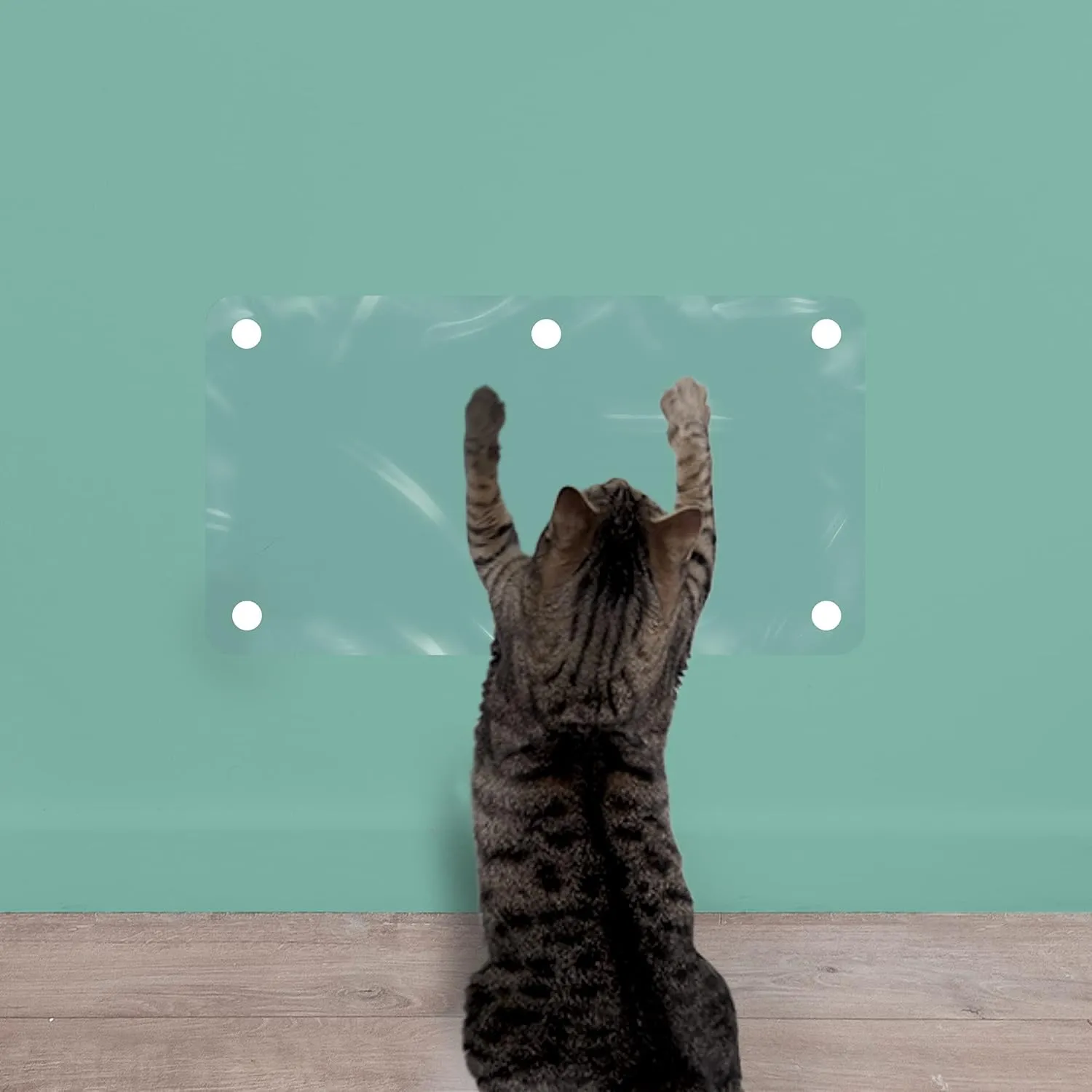LAMINET The Original Deluxe Cat Wall Scratch Shield - Protect Your Walls with Our Deluxe Heavy-Duty Flexible Cat Scratch Shield - (32L x 16W - INCHES)