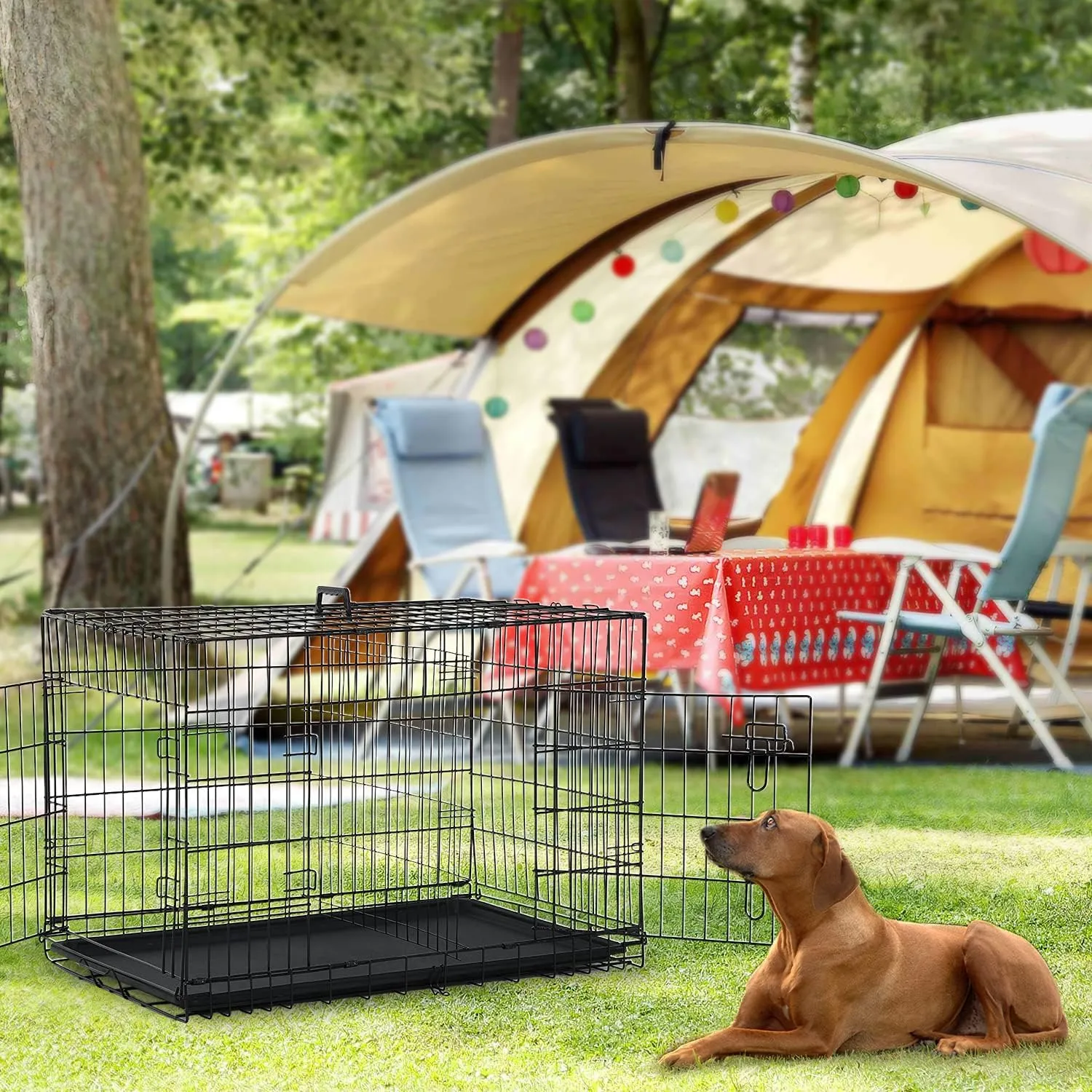 Large Dog Crate, 42 Inches Double Door Pet Crate Folding Metal Wire Dog Cage Pet Dog Kennel with Divider Panel, Leak-Proof Plastic Pan, Indoor Outdoor Pet Crates for Medium and Large Breed Pet Animals