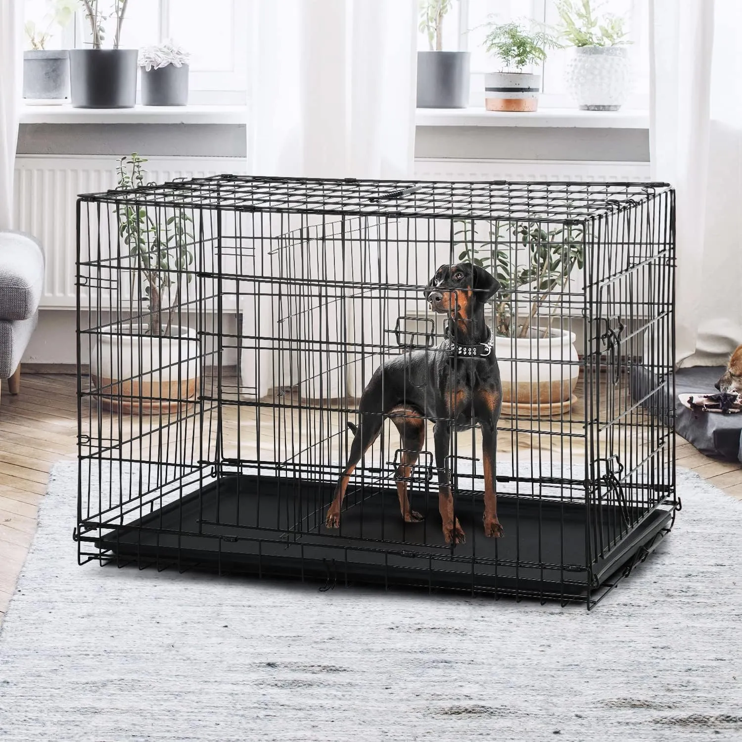 Large Dog Crate, 42 Inches Double Door Pet Crate Folding Metal Wire Dog Cage Pet Dog Kennel with Divider Panel, Leak-Proof Plastic Pan, Indoor Outdoor Pet Crates for Medium and Large Breed Pet Animals
