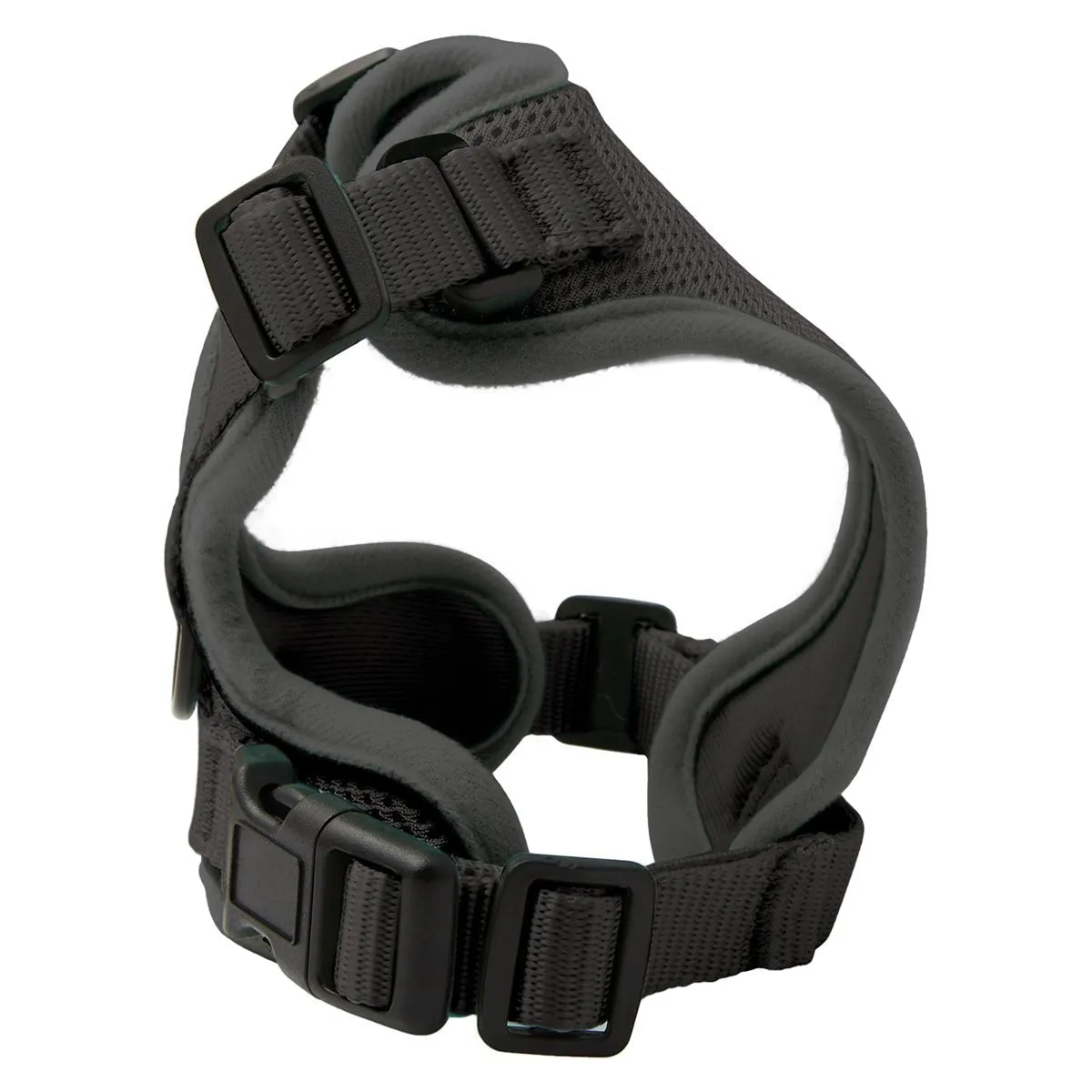 Lexi & Me Cat Harness & Lead Set