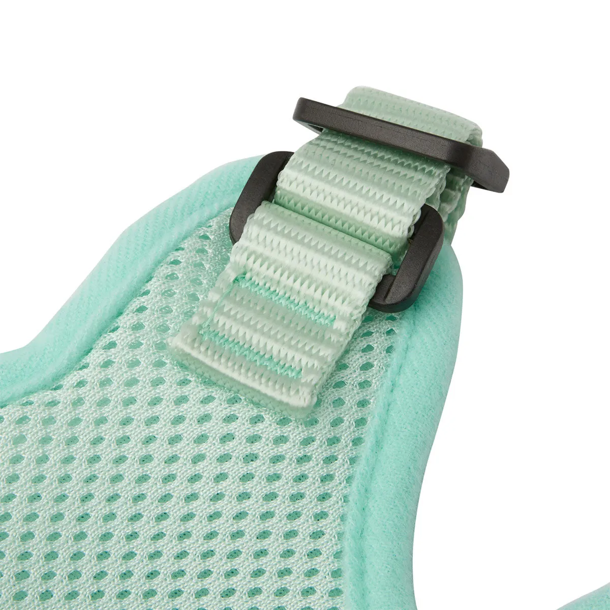 Lexi & Me Cat Harness & Lead Set