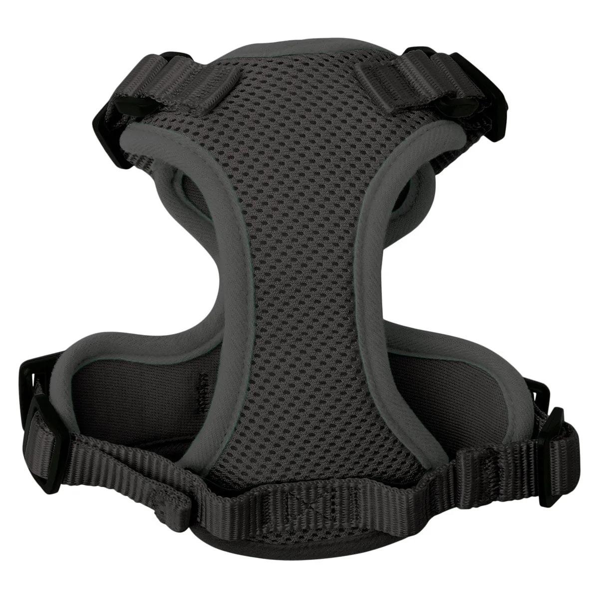 Lexi & Me Cat Harness & Lead Set