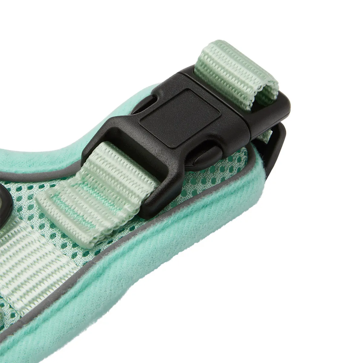 Lexi & Me Cat Harness & Lead Set