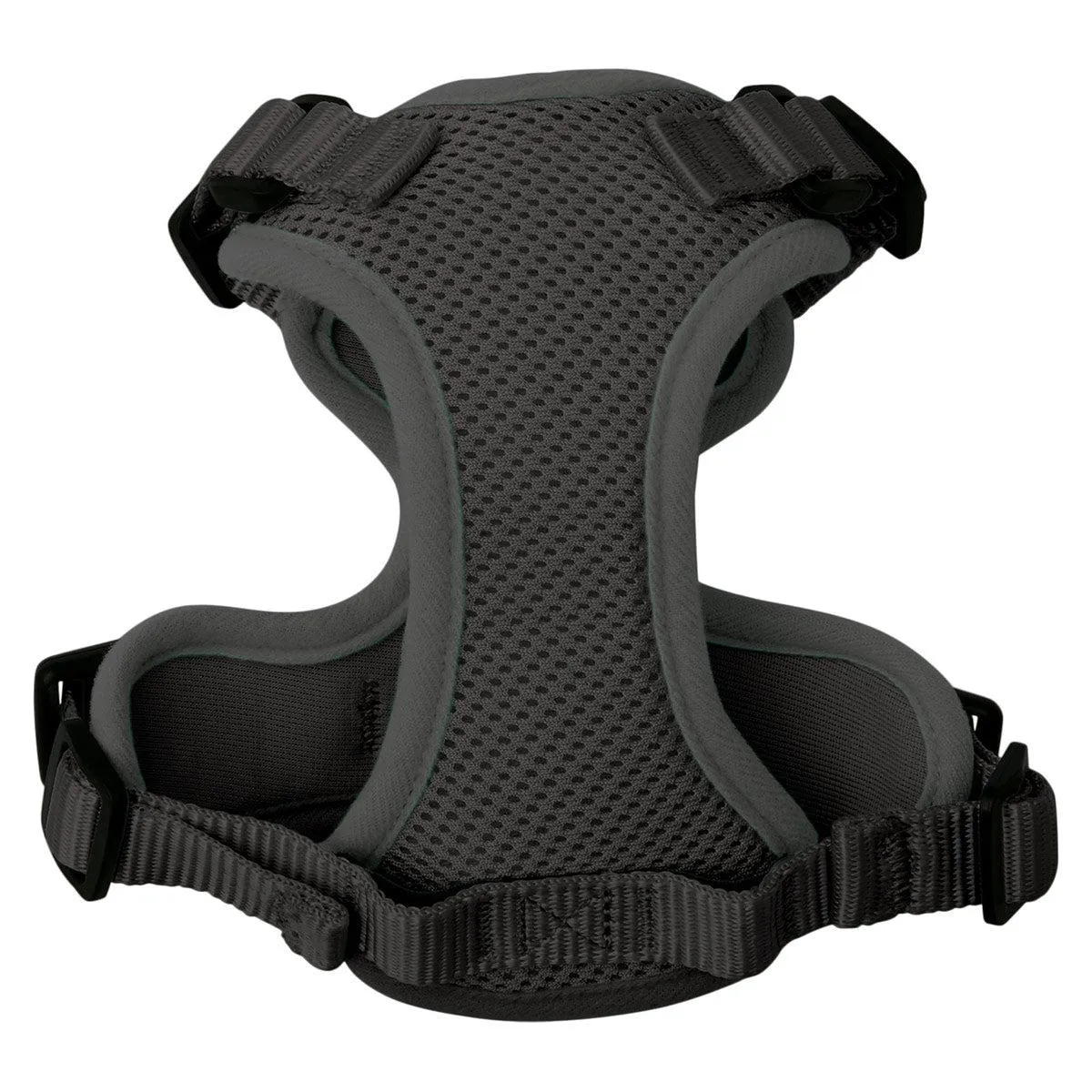 Lexi & Me Cat Harness & Lead Set