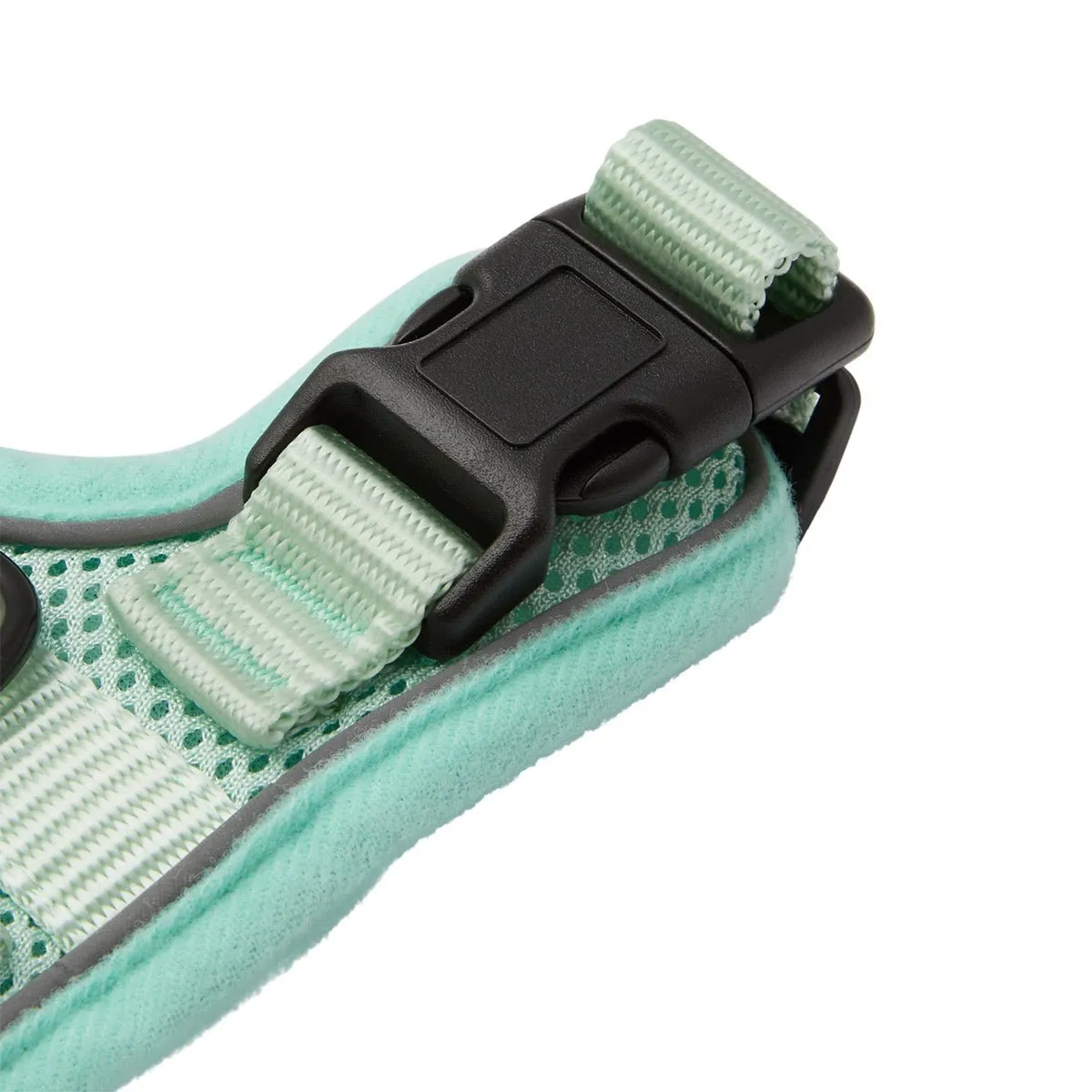 Lexi & Me Cat Harness & Lead Set