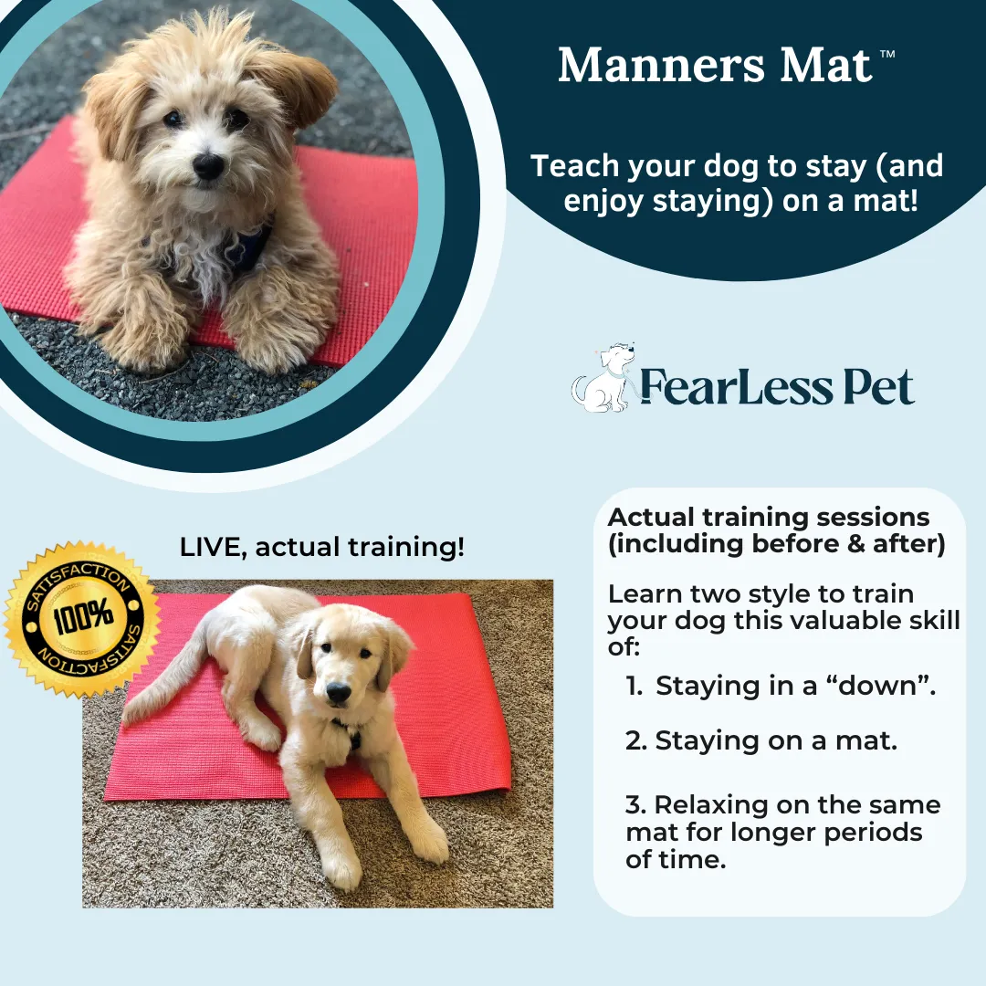 Manners Mat Training