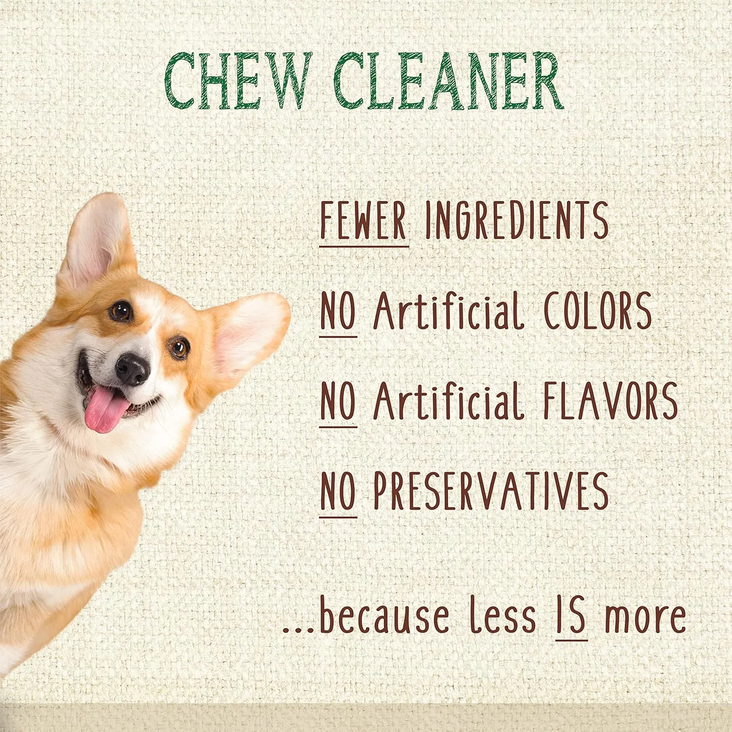 Nylabone Nutri Dent Dog Dental Chews - Natural Dog Teeth Cleaning & Breath Freshener - Dental Treats for Dogs - Filet Mignon Flavor, Large (20 Count)