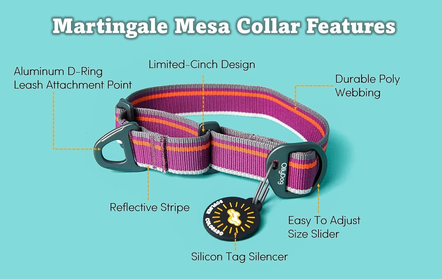 OllyDog Martingale Mesa Collar, Limited Cinch Slide-On Martingale Collar for Dogs with Reflective Webbing, No Buckle, Puppy Collar, Pet Supplies (Small, Anthracite)