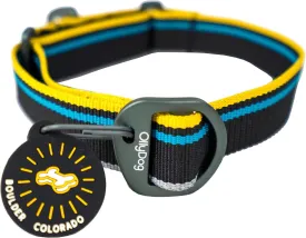 OllyDog Martingale Mesa Collar, Limited Cinch Slide-On Martingale Collar for Dogs with Reflective Webbing, No Buckle, Puppy Collar, Pet Supplies (Small, Anthracite)