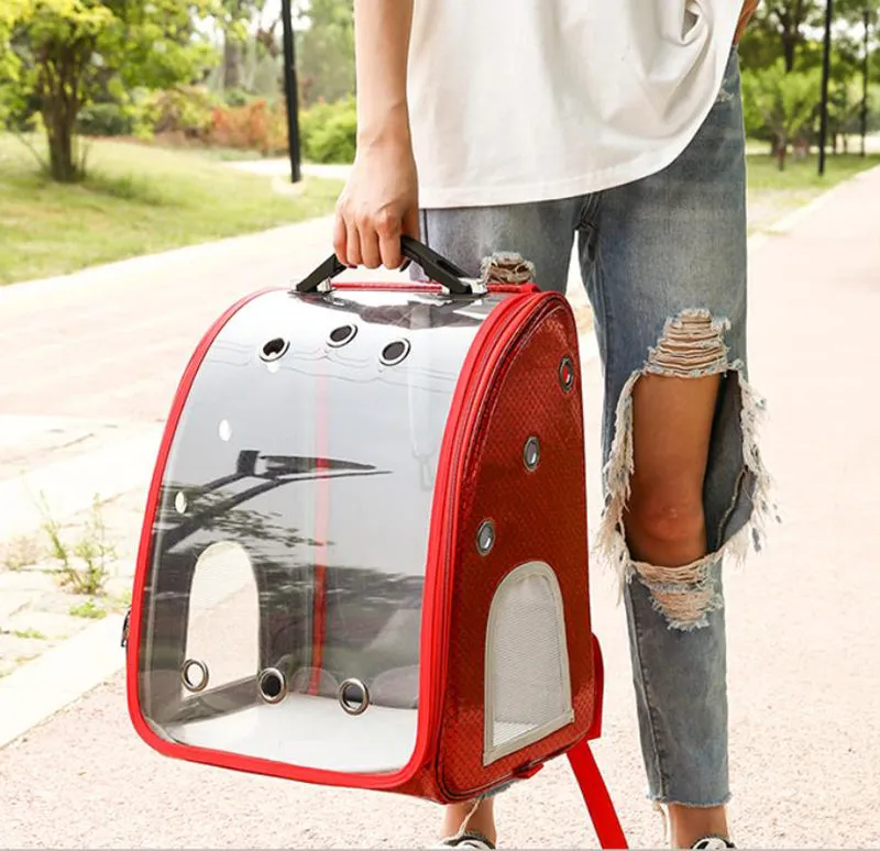 Pet backpack trolley