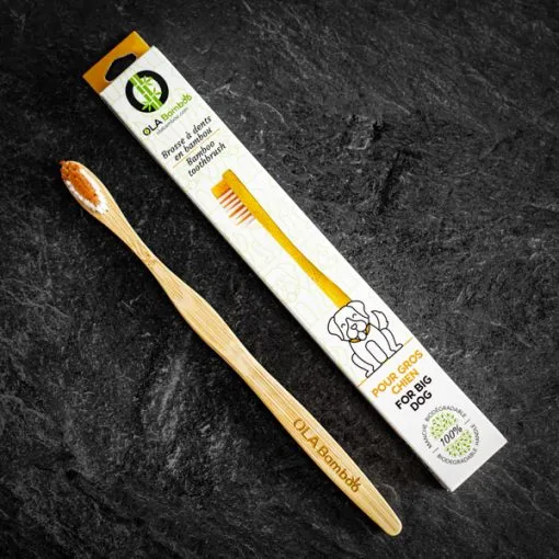 pet toothbrush