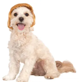 Pets Political Billionaire Costume Wig