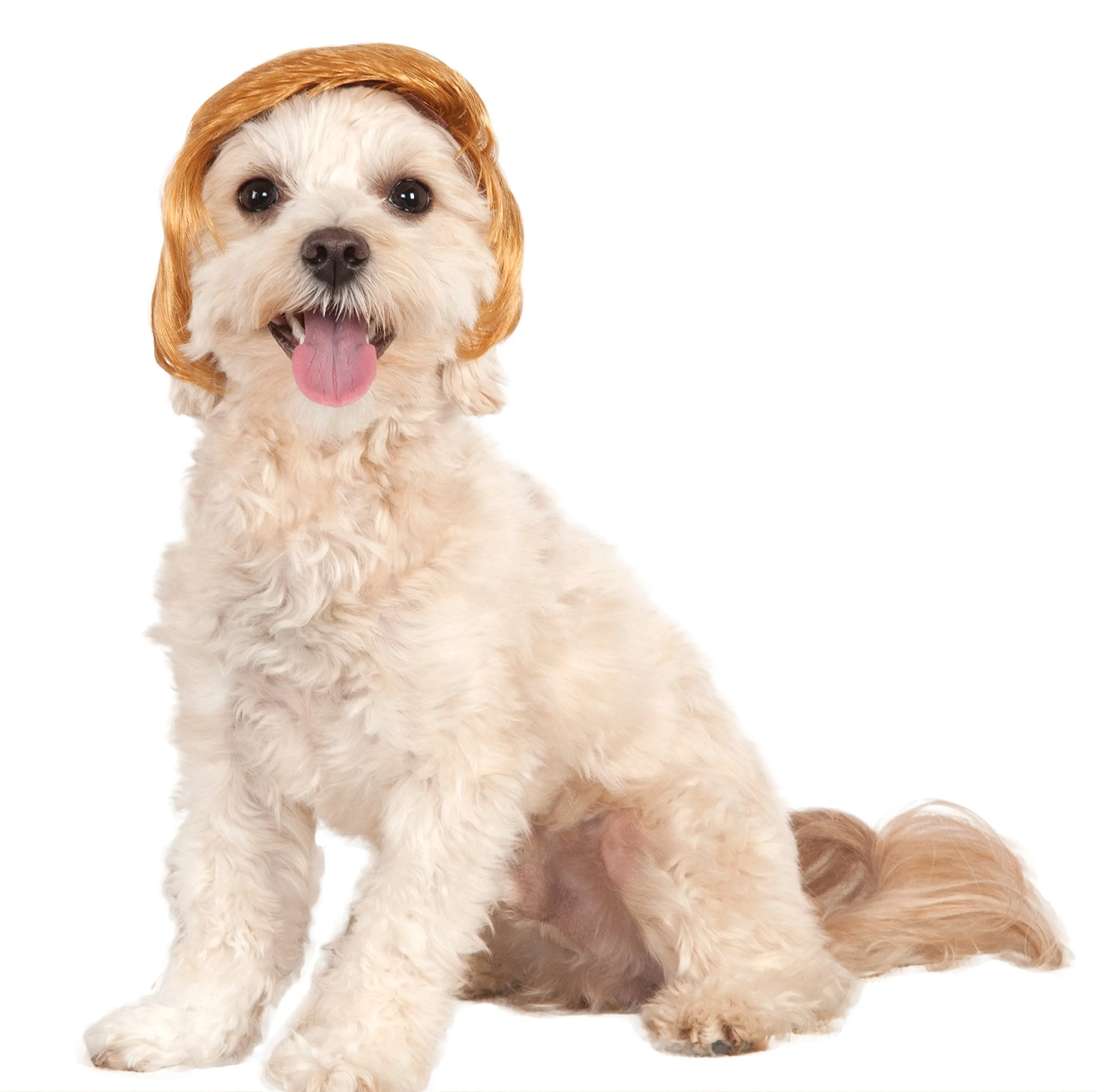 Pets Political Billionaire Costume Wig