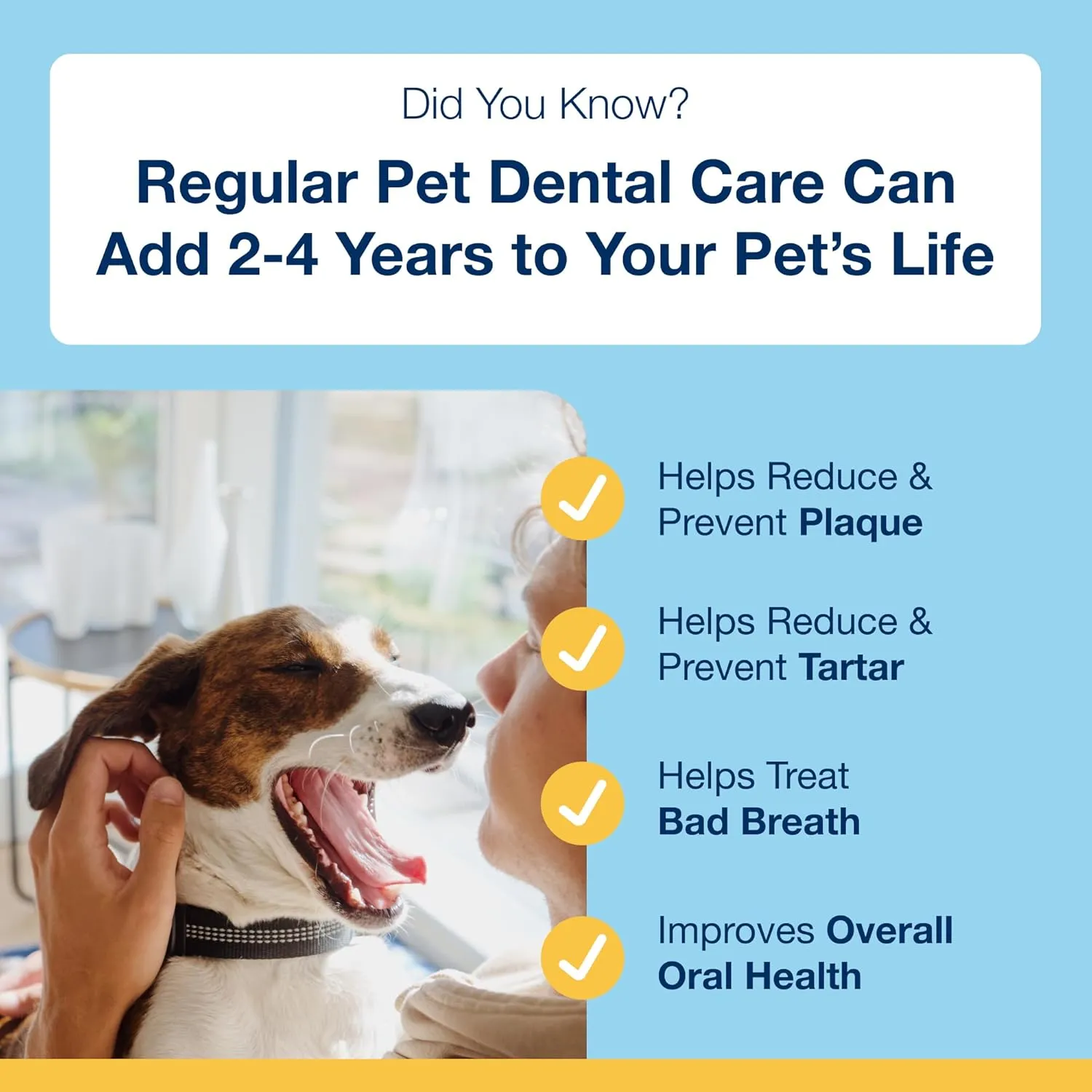 ProDen PlaqueOff System Dental Care Bones for Dogs - Vegetable 17 oz