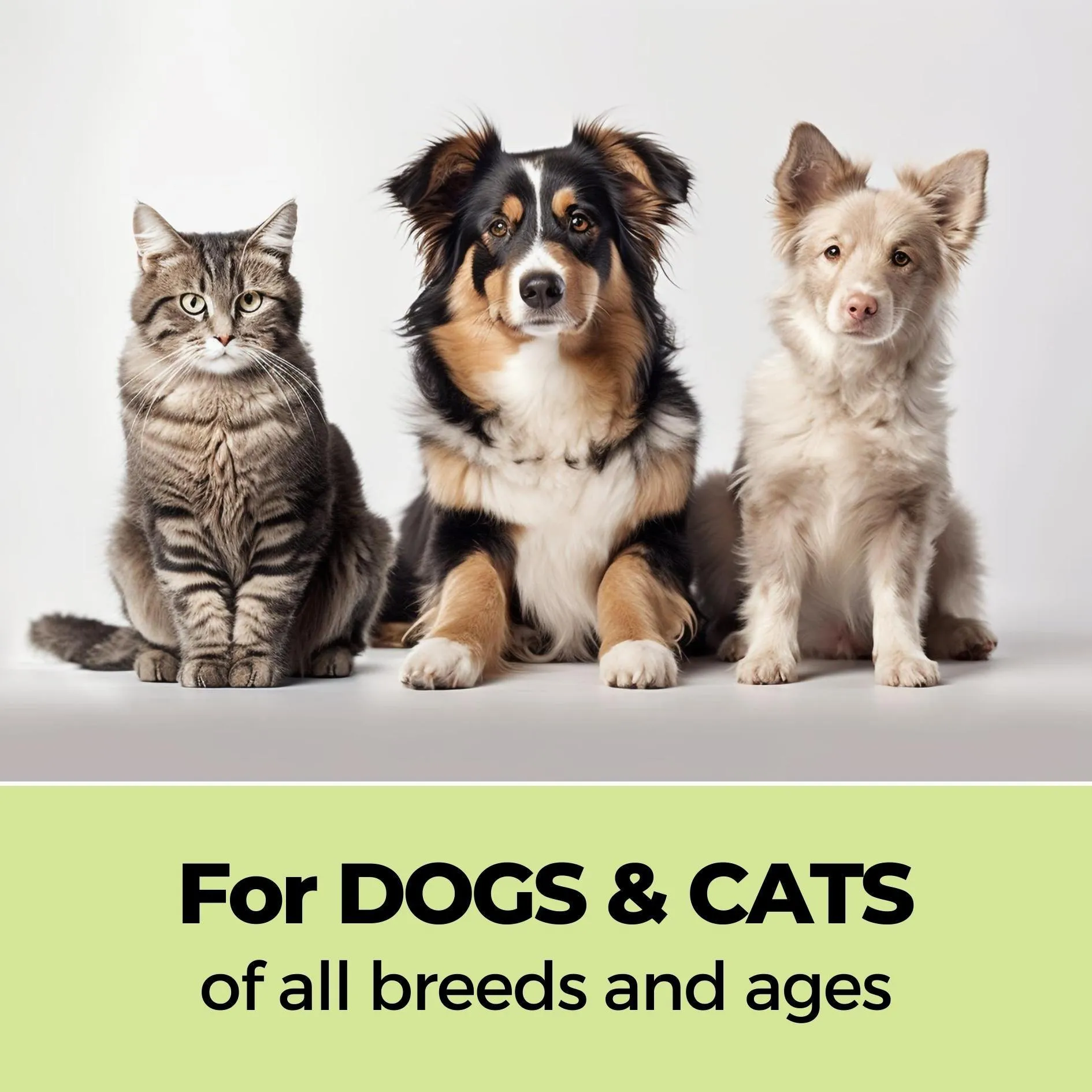 Shampoo   Conditioner & Tick Defense Pet Shampoo Combo